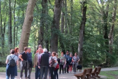 IMG_2762-e1507105790616